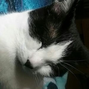 Meet your Posher, Robin